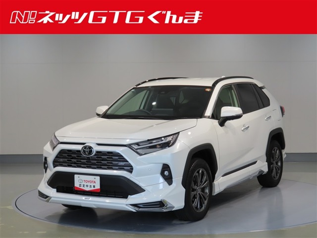 トヨタ RAV4 (群馬県)