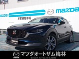 CX-30 | シンモト自動車 マツダオートザム梅林