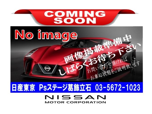 日産 スカイライン 2.5 250GT タイプS メーカーナビ・TV BOSE 東京都