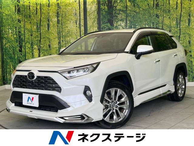 トヨタ RAV4 2.0 G Zパッケージ 4WD モデリスタエアロ 全周囲 愛知県