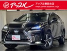 レクサス　NX　300 スパイス＆シック　特別仕様車/パノラマルーフ/純正ナビ・TV