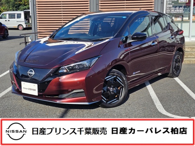 日産 リーフ (千葉県)