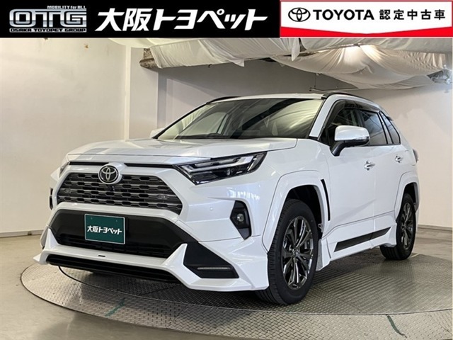 トヨタ RAV4 (大阪府)