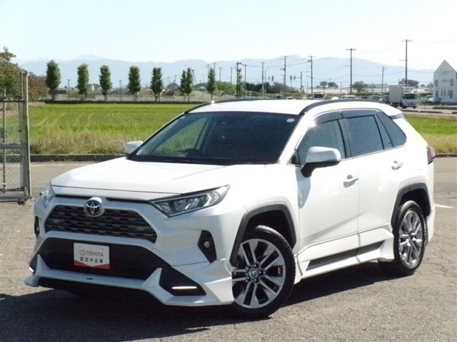 トヨタ RAV4 (新潟県)