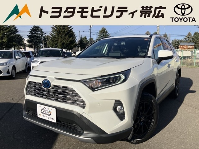 トヨタ RAV4 (北海道)