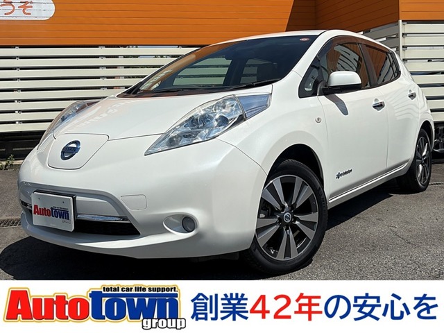 日産 リーフ (愛知県)
