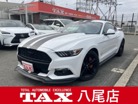 フォード　マスタング　50イヤーズ エディション　ポータブルナビ・バックモニター・TV