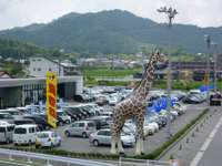 西日本最大級の規模！常時２００台以上展示！大きなキリンが目印！