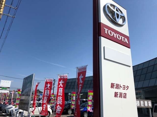 新潟トヨタ自動車 新潟マイカーセンター の中古車販売店 在庫情報 中古車の検索 価格 Mota