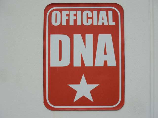 GARAGE DNA 写真