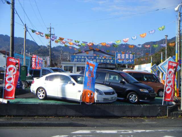 オートチャートTOPs 杉山自動車販売 写真
