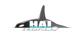 HAI（ヒロタオートインターナショナル）ロゴ