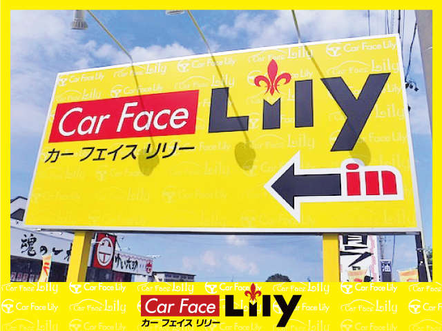 Car Face Lily 写真