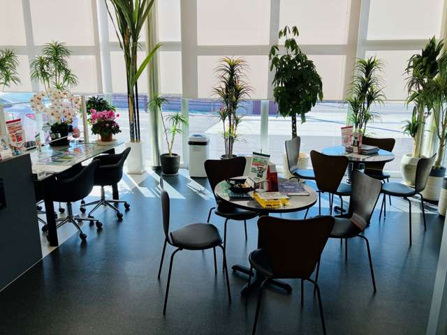 商談テーブルは、日当たりも良く観葉植物でとても居心地が良い空間になっています。