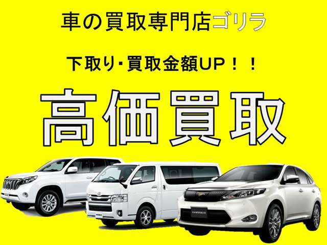 ポケットマネー1万円で新車が乗れます！お好きな車を選んでもらえます♪