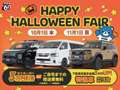 1994 Toyota Land Cruiser 80 photo 5