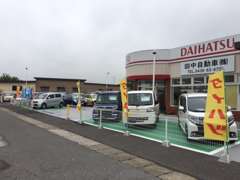 田中自動車株式会社 本社ショールーム お店の実績 画像1